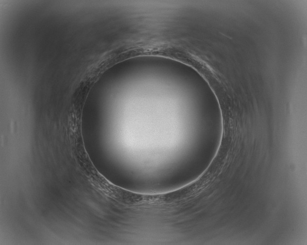 X0000083971447200702161051