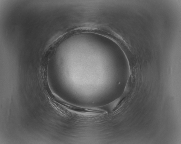 X0000083971448200702161051