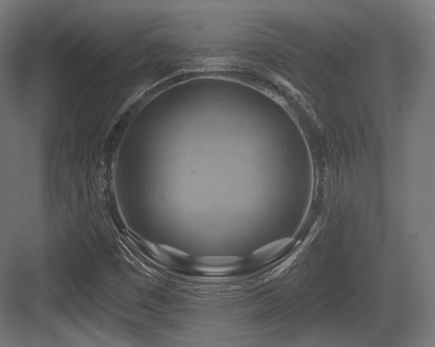 X0000083971449200702161051