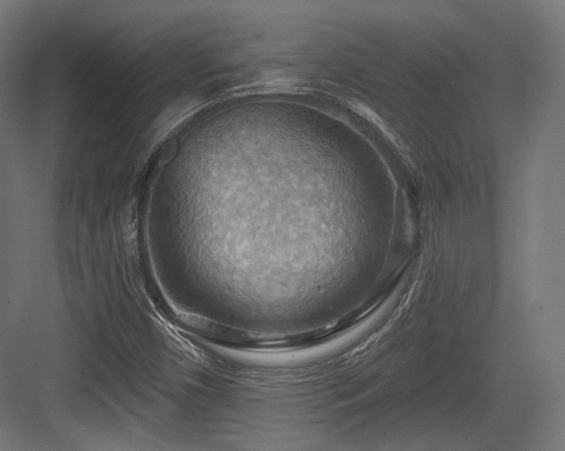 X0000083971450200702161051