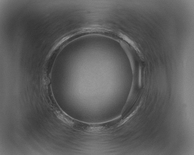 X0000083971453200702161051