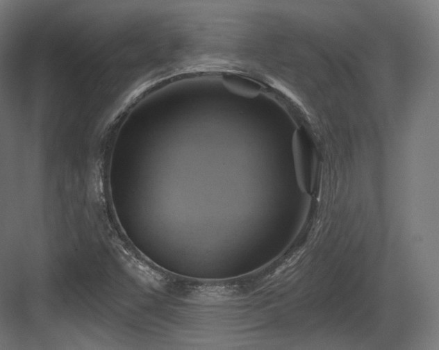 X0000083971455200702161051