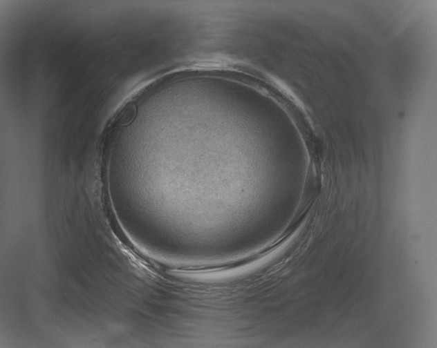 X0000083971456200702161051
