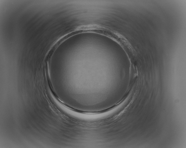 X0000083971457200702161051
