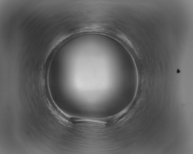 X0000083971458200702161051