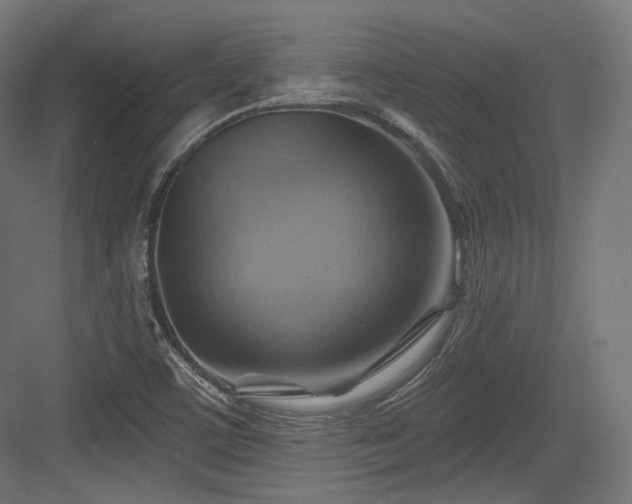 X0000083971459200702161051
