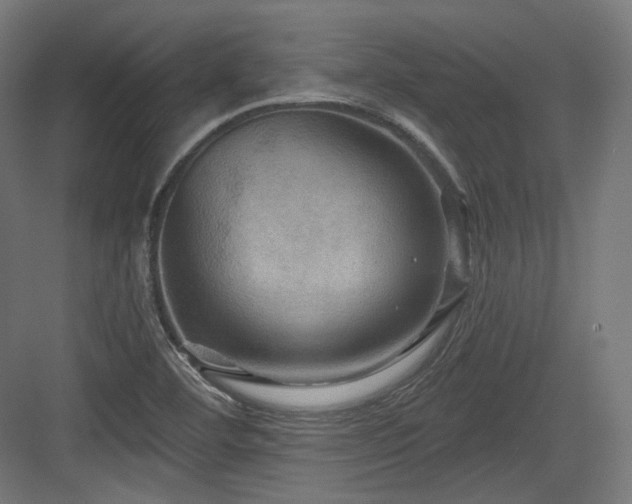 X0000083971460200702161051