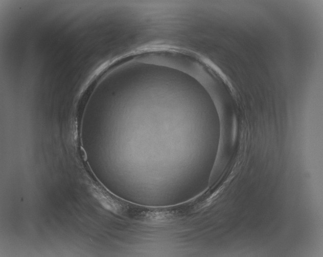 X0000083971461200702161051