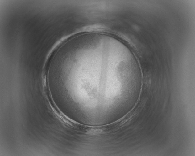 X0000083971462200702161051