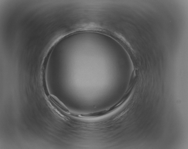 X0000083971463200702161051