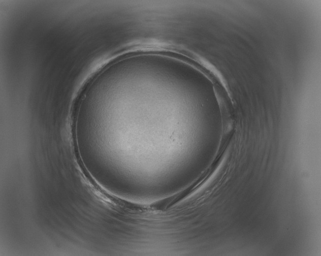 X0000083971464200702161051