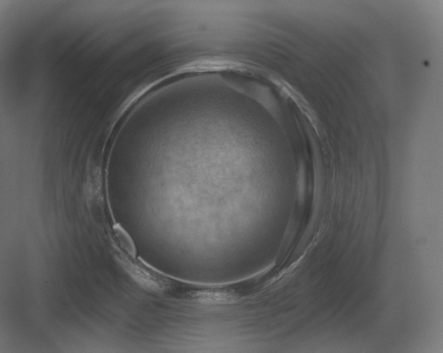 X0000083971465200702161051
