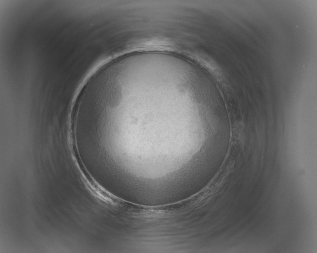 X0000083971470200702161051