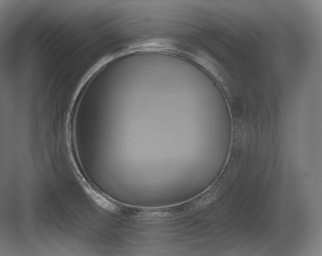 X0000083971474200702161051