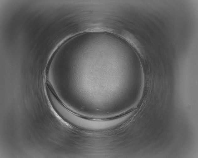 X0000083971476200702161051