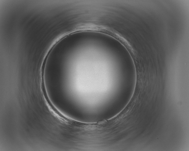 X0000083971479200702161051