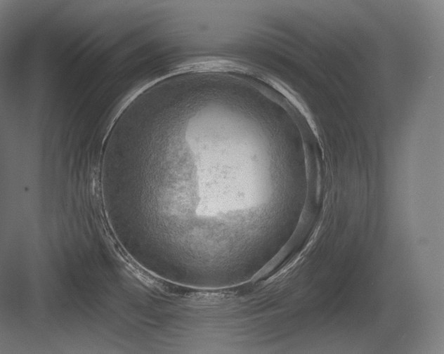 X0000083971481200702161050