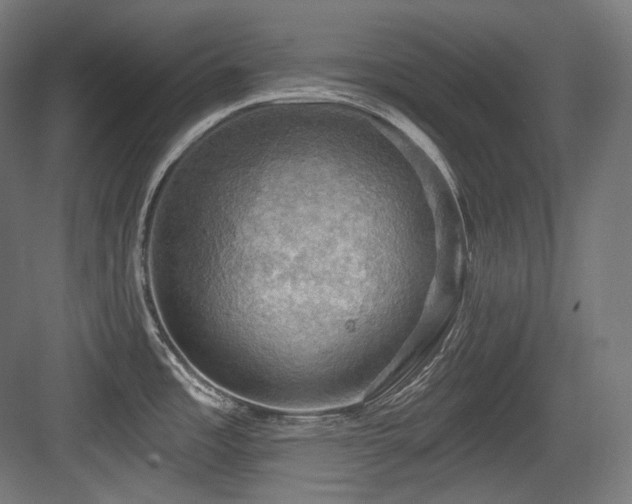 X0000083971485200702161050