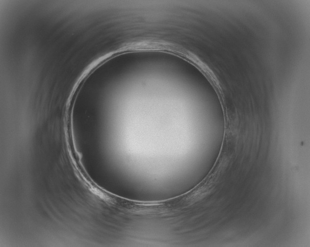 X0000083971486200702161050