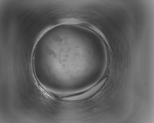 X0000083971488200702161050