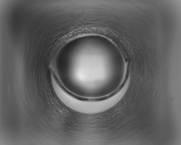 X0000083971489200702161050