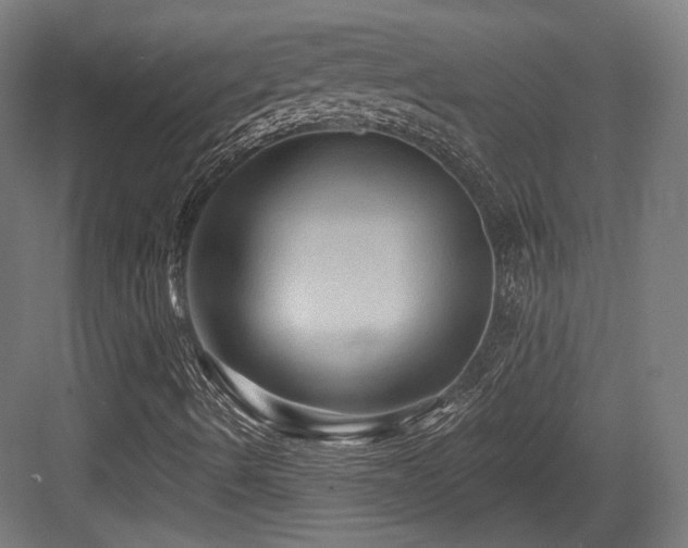 X0000083971490200702161050