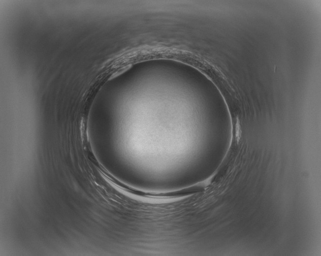 X0000083971492200702161050