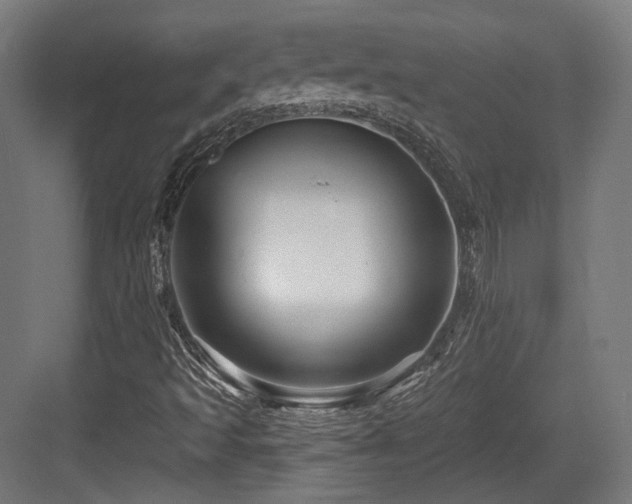 X0000083971493200702161050