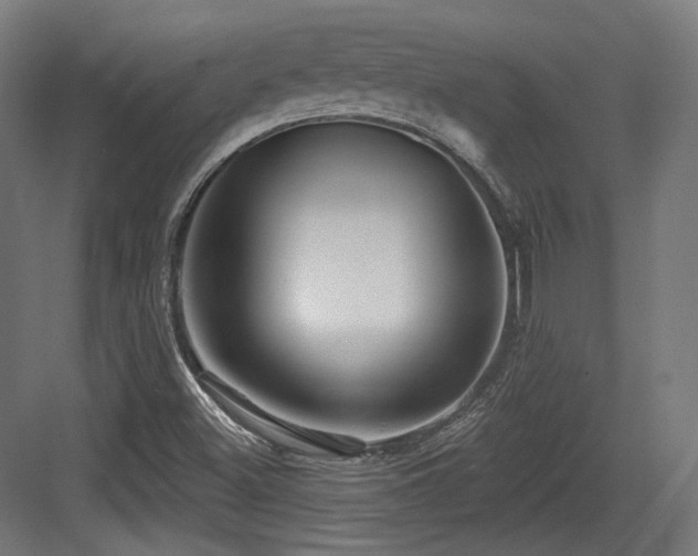 X0000083971500200702161050