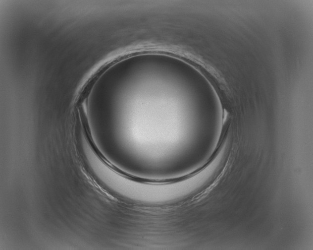 X0000083971502200702161050
