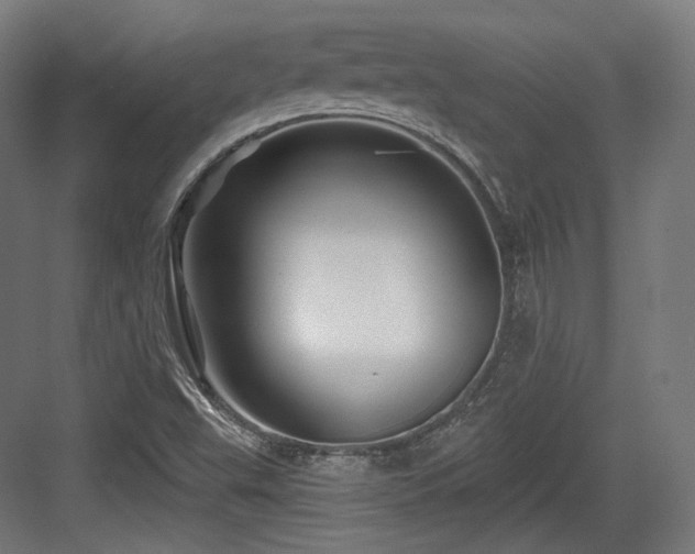 X0000083971503200702161050