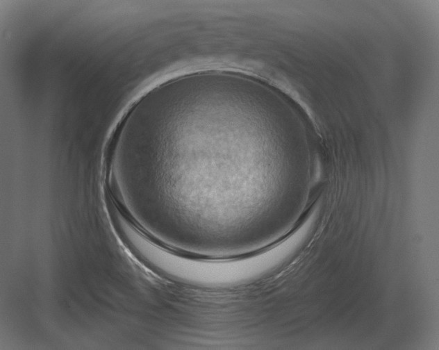 X0000083971508200702161050