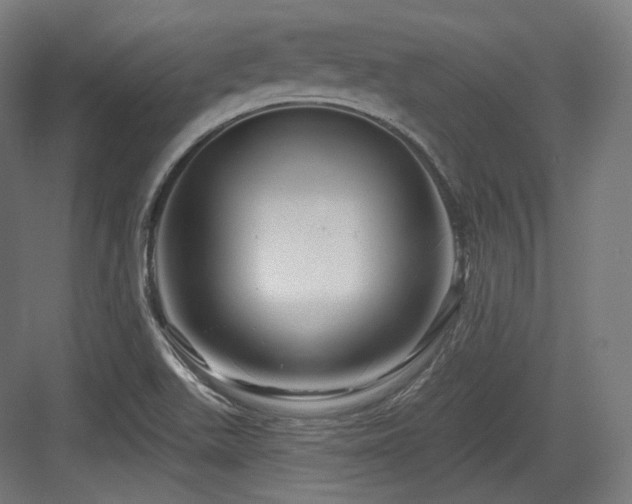 X0000083971511200702161050