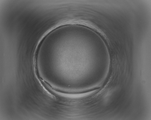 X0000083971517200702161050