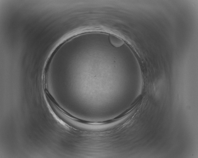 X0000083971519200702161050
