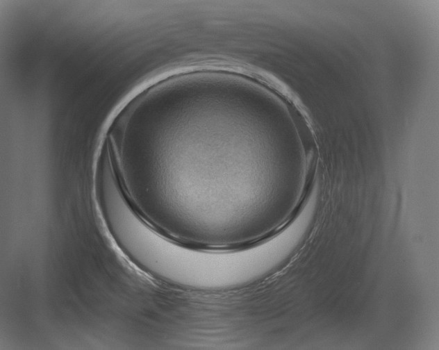 X0000083971520200702161050