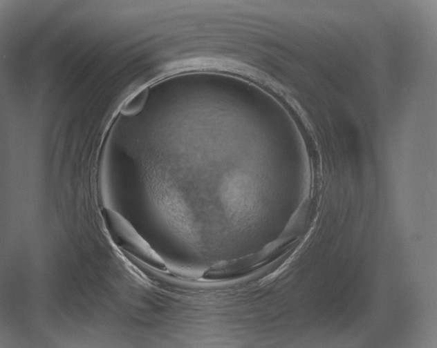 X0000083971529200702161050