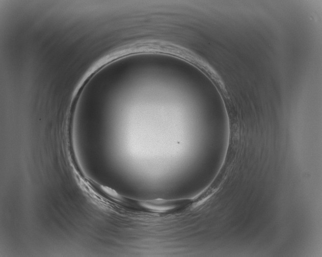 X0000083971530200702161050