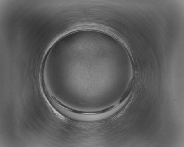 X0000083971533200702161050
