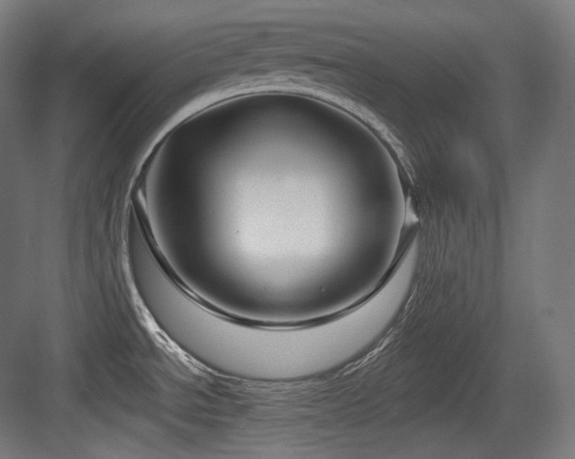X0000083971534200702161050