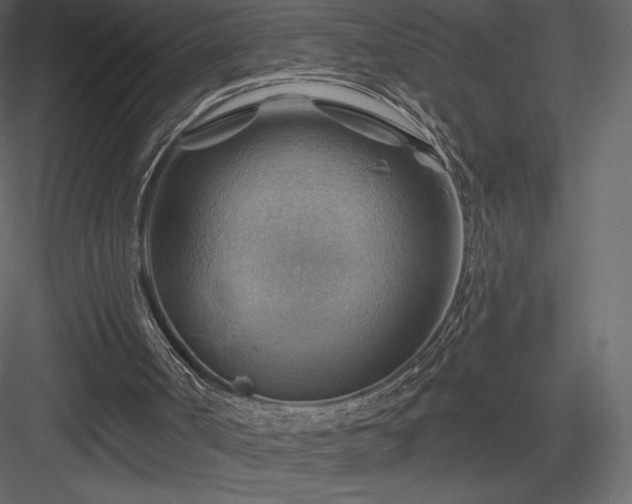X0000083970002200702232030