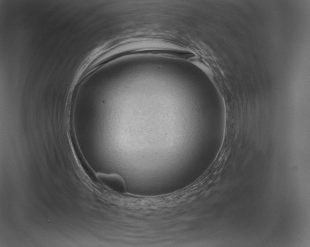 X0000083970003200702232030