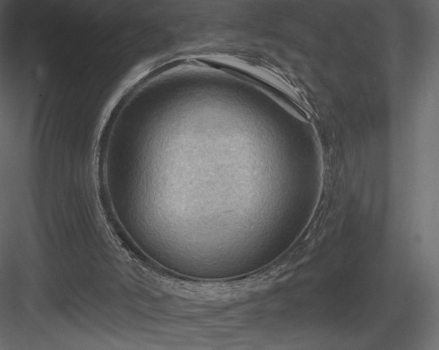 X0000083970006200702232030