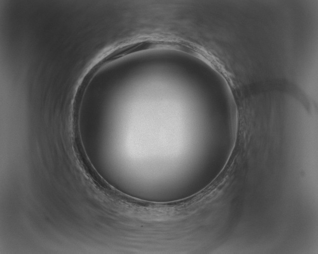 X0000083970008200702232030