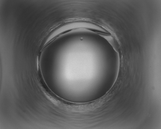 X0000083970013200702232030