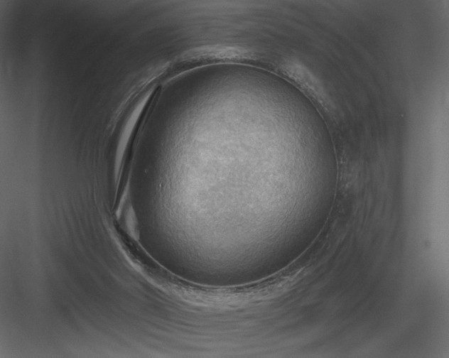 X0000083970014200702232030