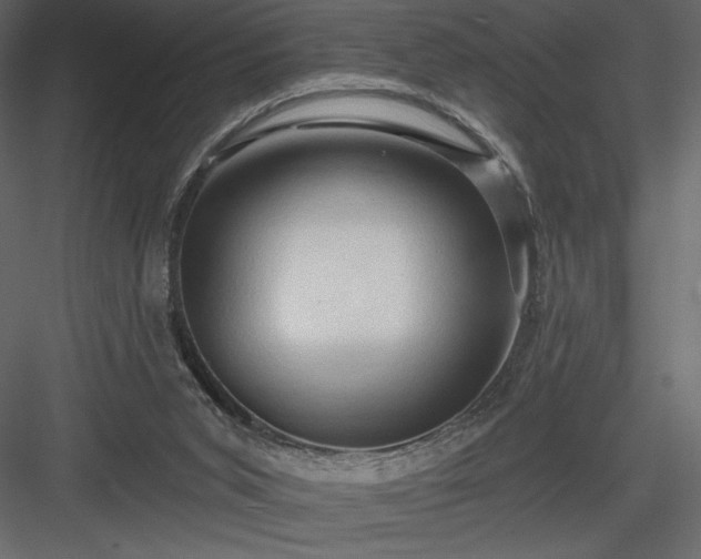 X0000083970015200702232030
