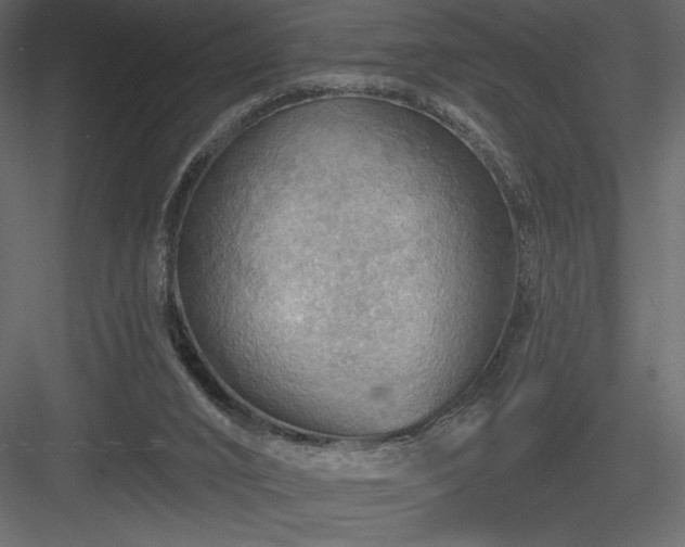 X0000083970016200702232030