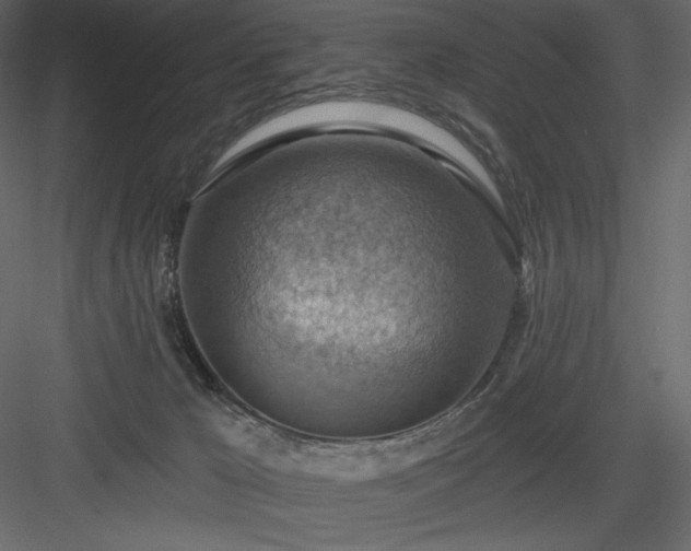 X0000083970029200702232030