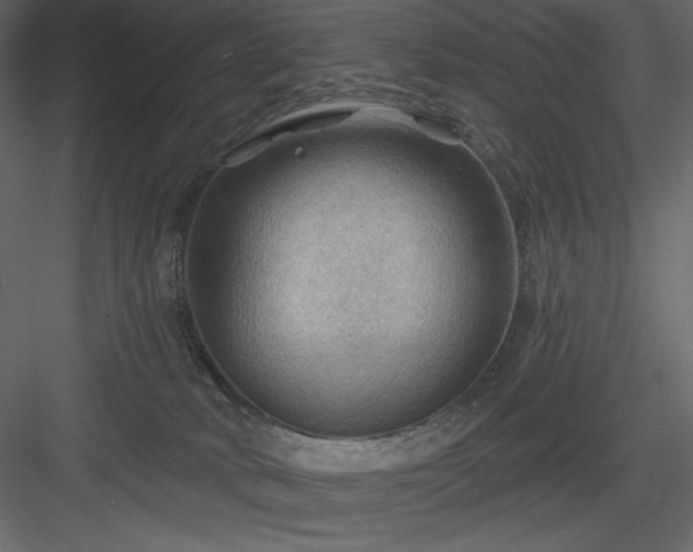 X0000083970034200702232030